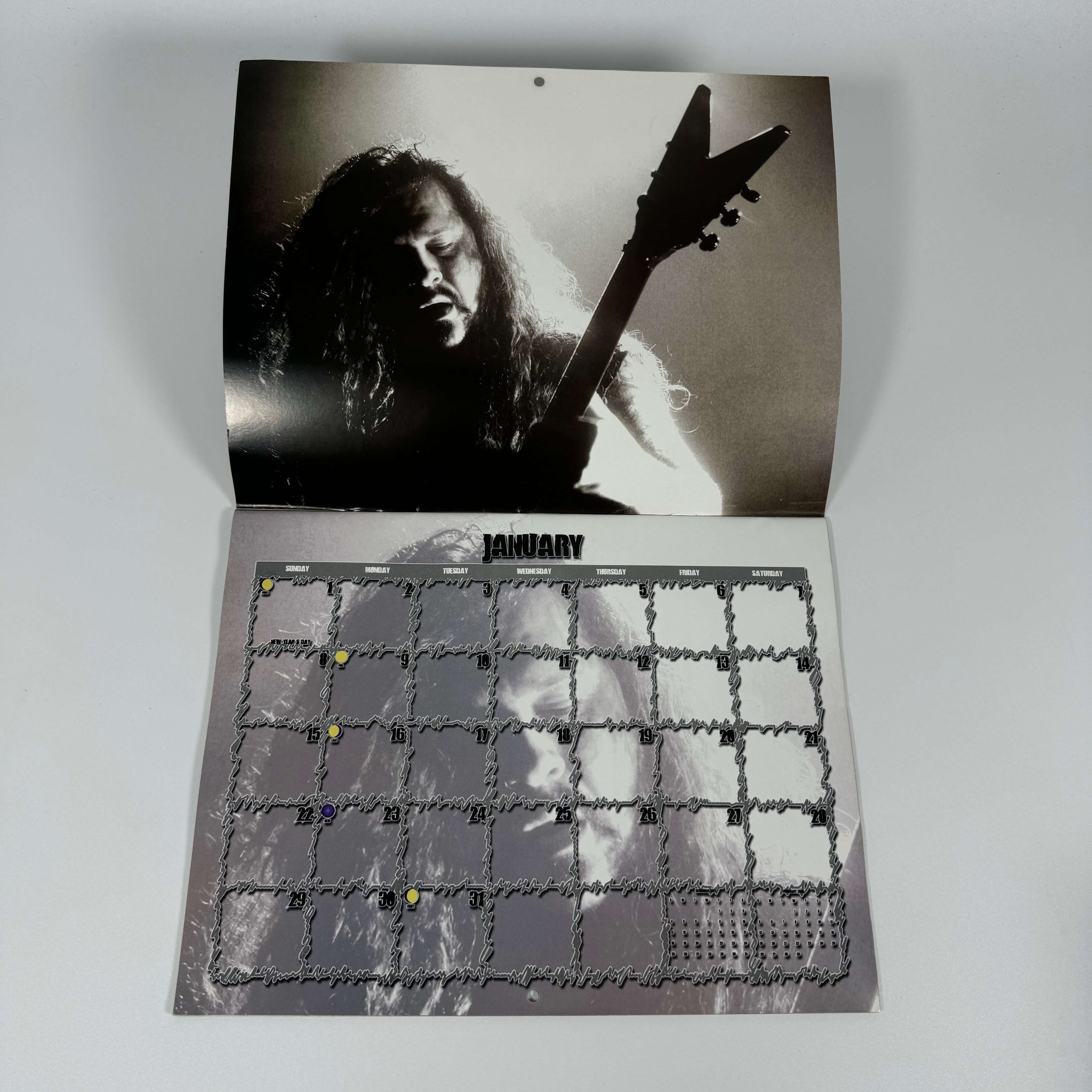 DIMEBAG DARRELL 2012 CALENDAR - DH HARDWARE - Image 3
