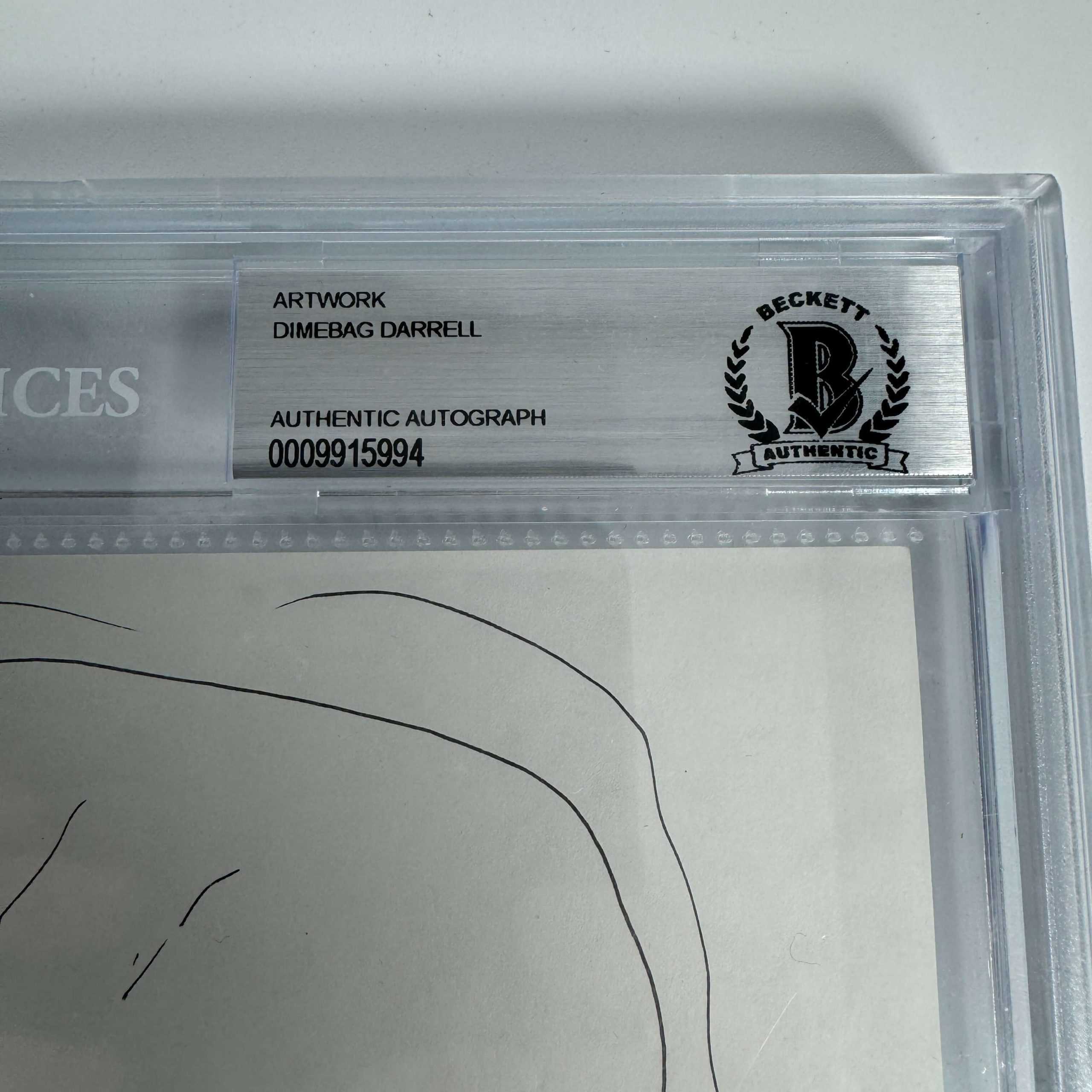 DIMEBAG DARRELL - HAND DRAWING SLABBED BY BECKETT - Image 2