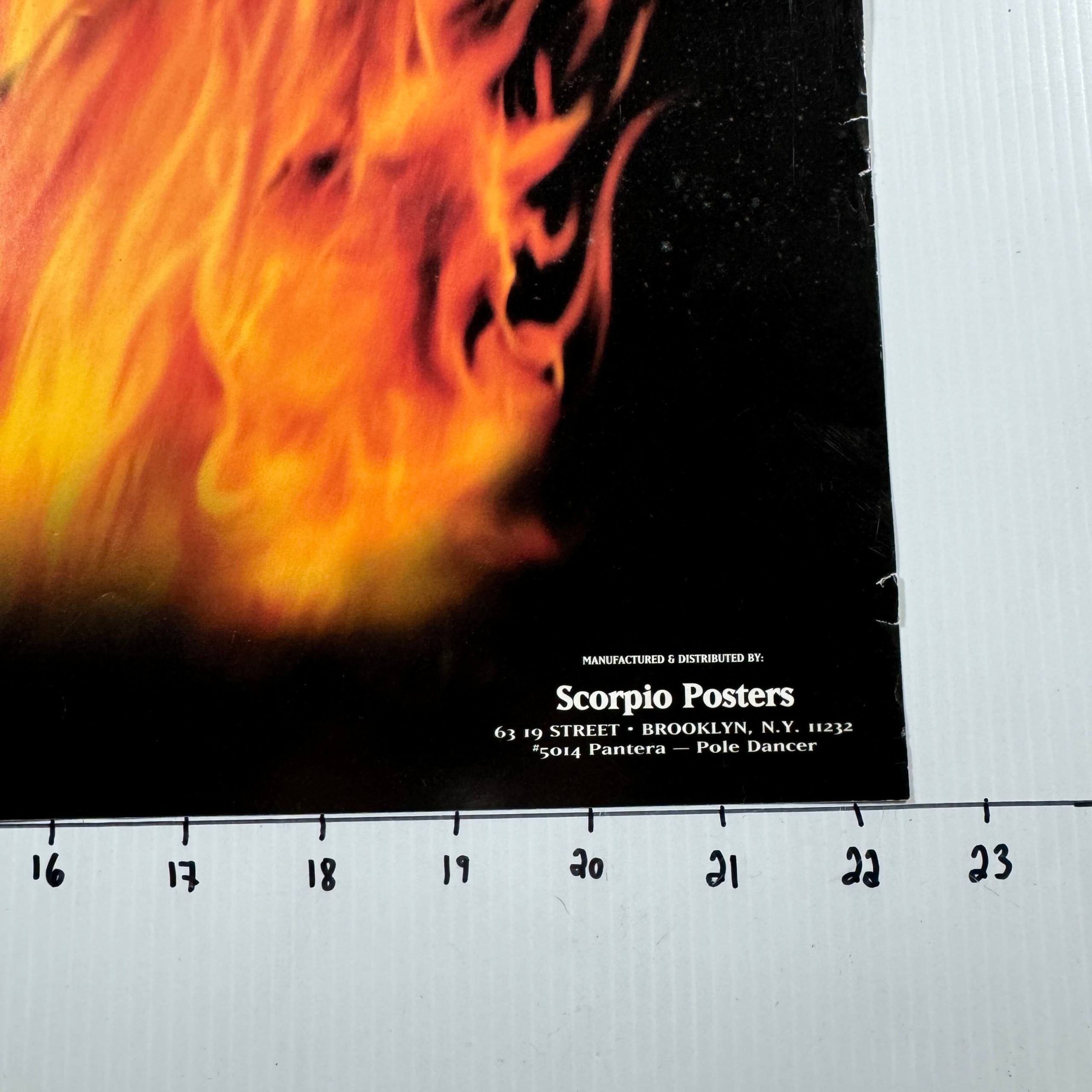 PANTERA - POLE DANCE FLAM / FLAG POSTER - Image 3